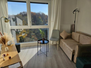 Lit simple dans appt partagé-Sofabed